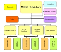 Simplified organizational chart